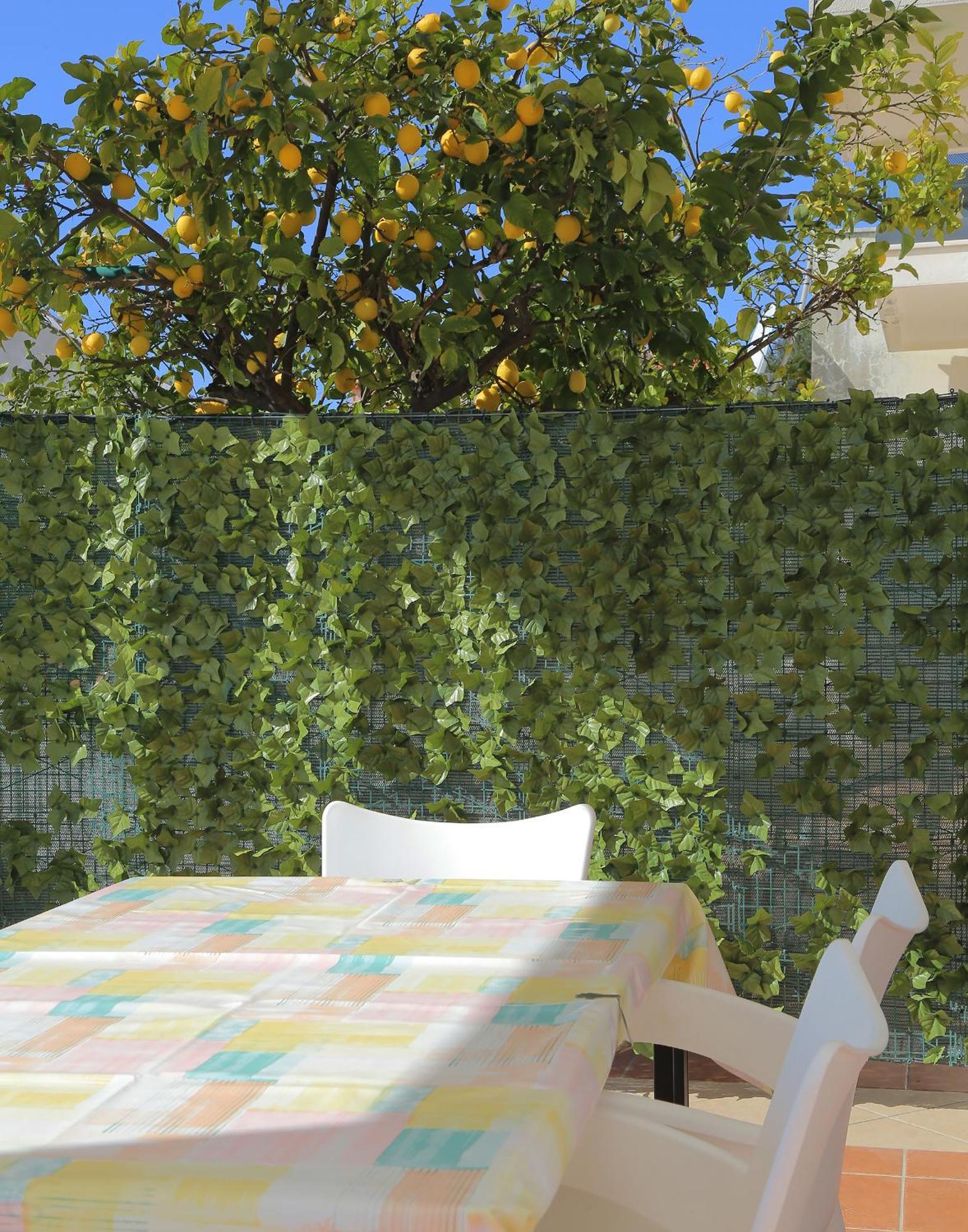 Apartments Isabora Ντουμπρόβνικ Εξωτερικό φωτογραφία